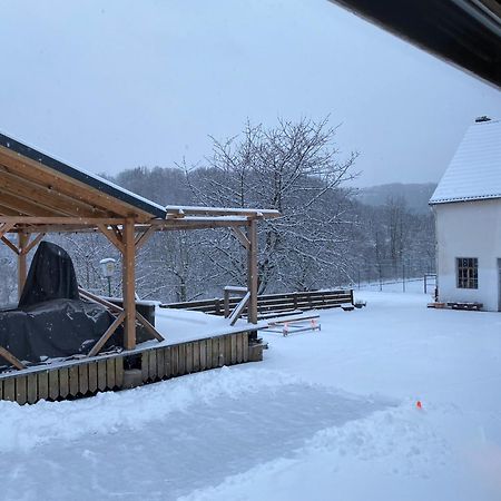 Sabine'S Gaestehaus Übereisenbach エクステリア 写真