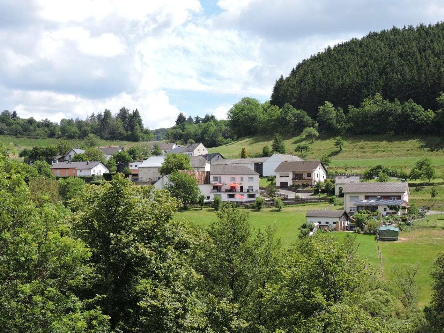 Sabine'S Gaestehaus Übereisenbach エクステリア 写真