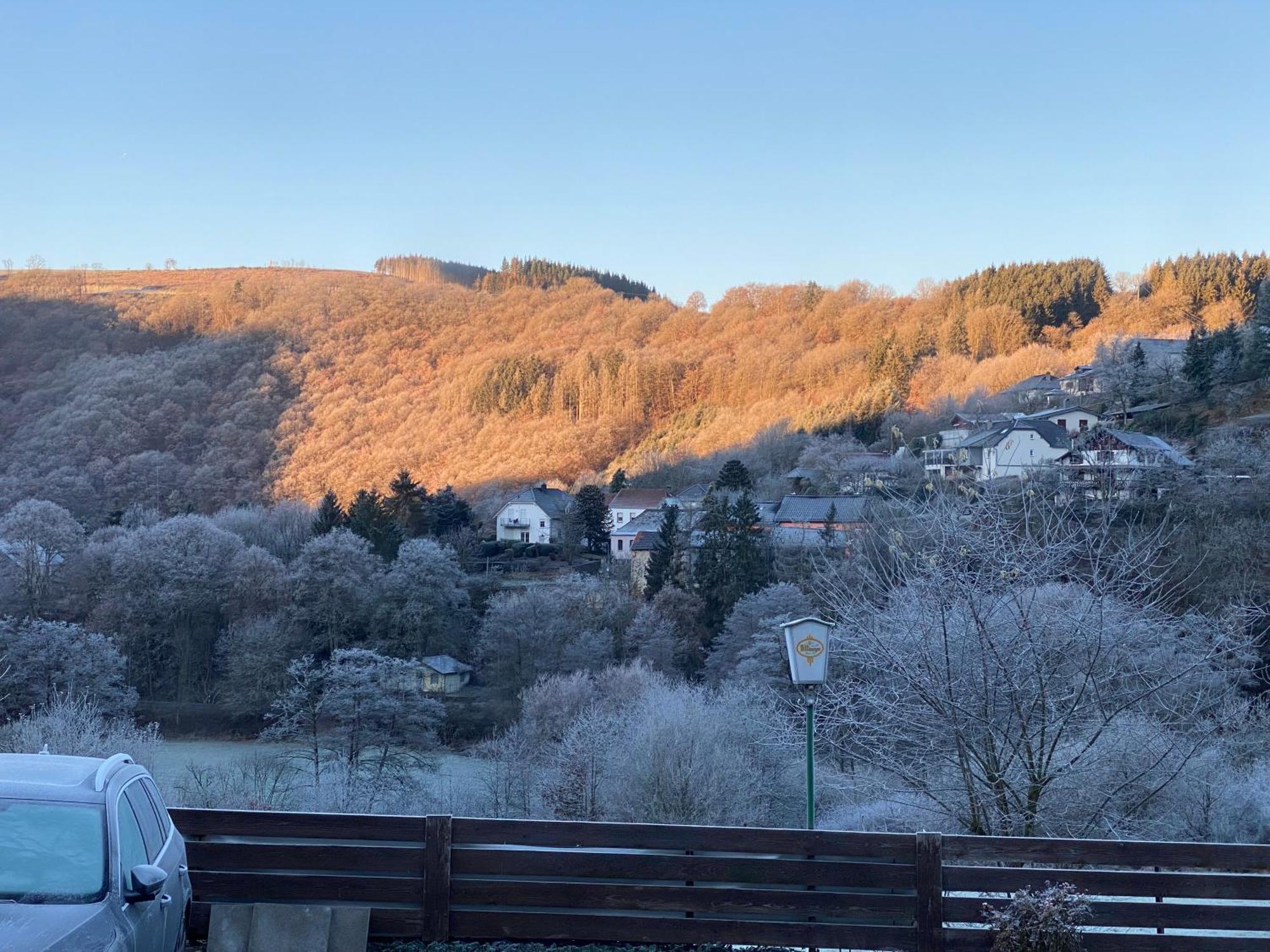 Sabine'S Gaestehaus Übereisenbach エクステリア 写真